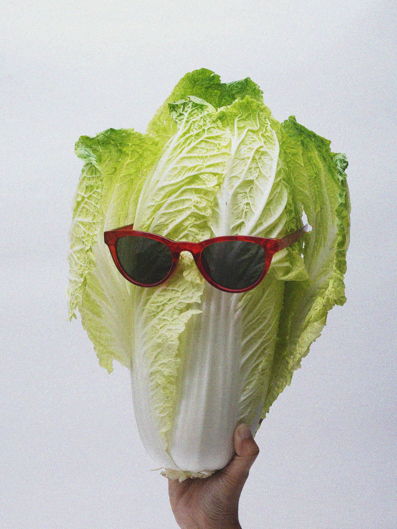 A napa cabbage wearing red sunglasses